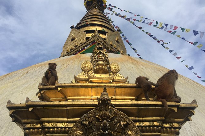 Privet Day Tours in Kathmandu Nepal - Where this tour fits best in your Kathmandu plan
