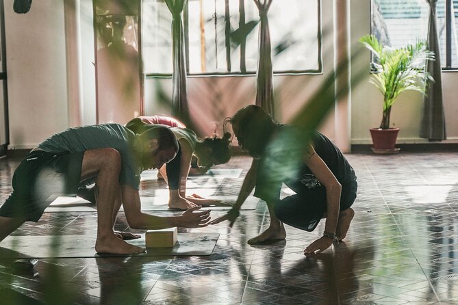 Regular Yoga for all levels of practitioners in Kathmandu - Entering Avata Wellness Center in Kathmandu