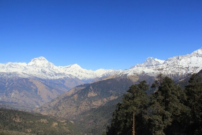 Short Annapurna Base Camp Trek - 7 Days - Guides and porters: why this operator gets repeat praise