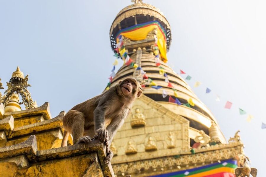 Spiritual Nepal: Expert insight into Multifaith Journey - Price and value: $150 isn’t just “sightseeing”