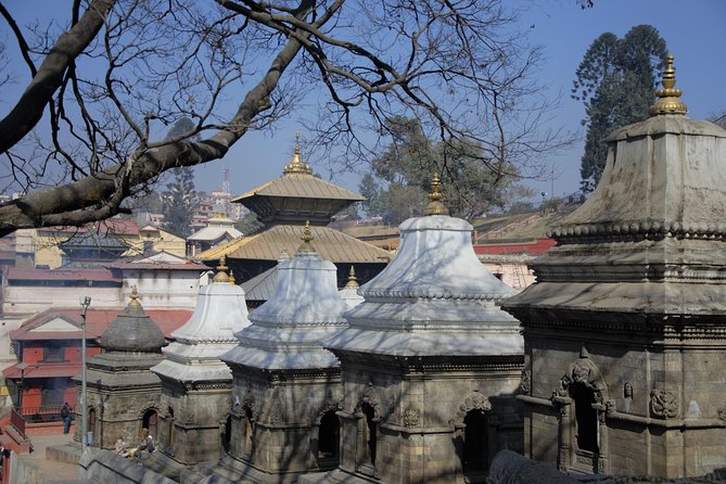 Temples and Stupas Tour in Kathmandu Valley - Pashupatinath Temple: Shiva worship, holy men, and the cremation reality