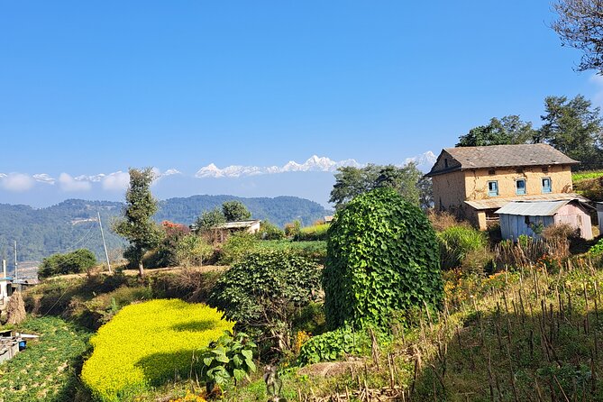 The Most Beautiful 1 Day Experience in Kathmandu Nepal - Transportation, timing, and why the day feels efficient