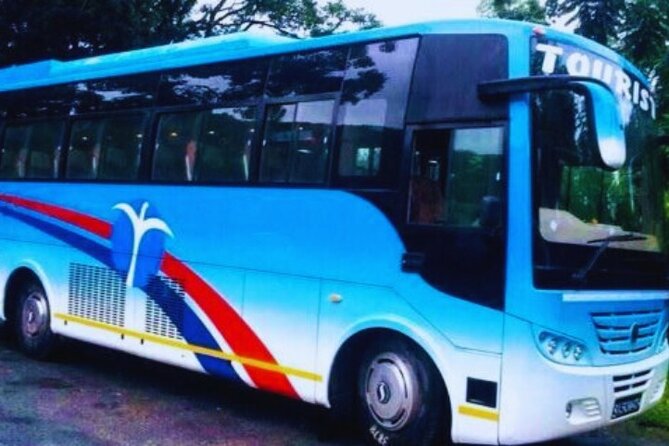 Tourist Bus Tickets: Kathmandu to Chitwan or Chitwan to KTM - Picking your ride: timing, reporting time, and what to do with uncertainty