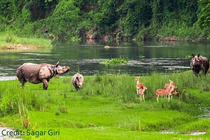 Transport Cover Nepal - Price and What You Actually Pay For