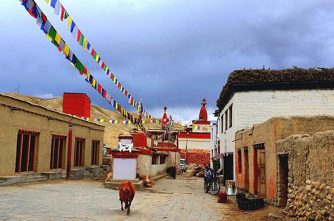 Upper Mustang Trek 14 Days - Chele to Syanboche to Ghami: Desert Trails and Higher Rhythm