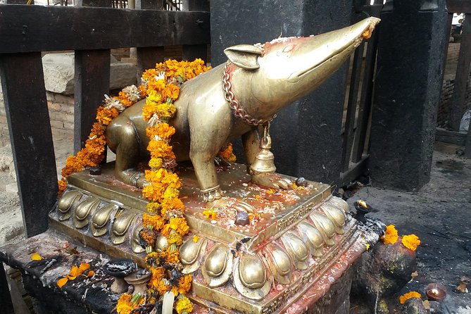 Walking tour of Kathmandu with awesome local guides - Starting from Thamel: pickup, timing, and what the 5–6 hours means