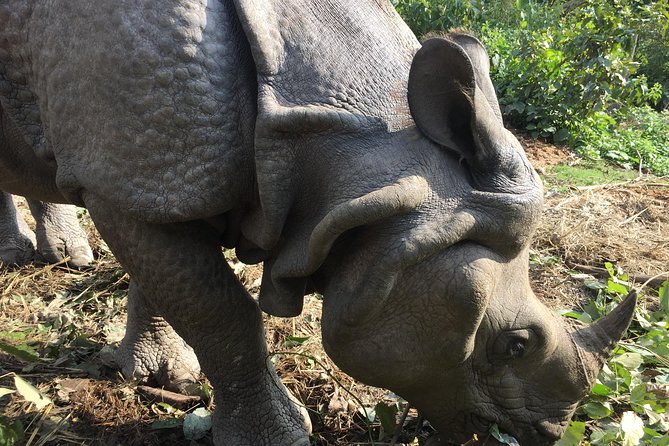 Wildlife Adventure in Chitwan Nepal - Kathmandu or Pokhara to Chitwan: the 6:30am start and what it means
